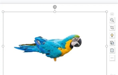 ppt怎么摳圖 ppt如何摳圖